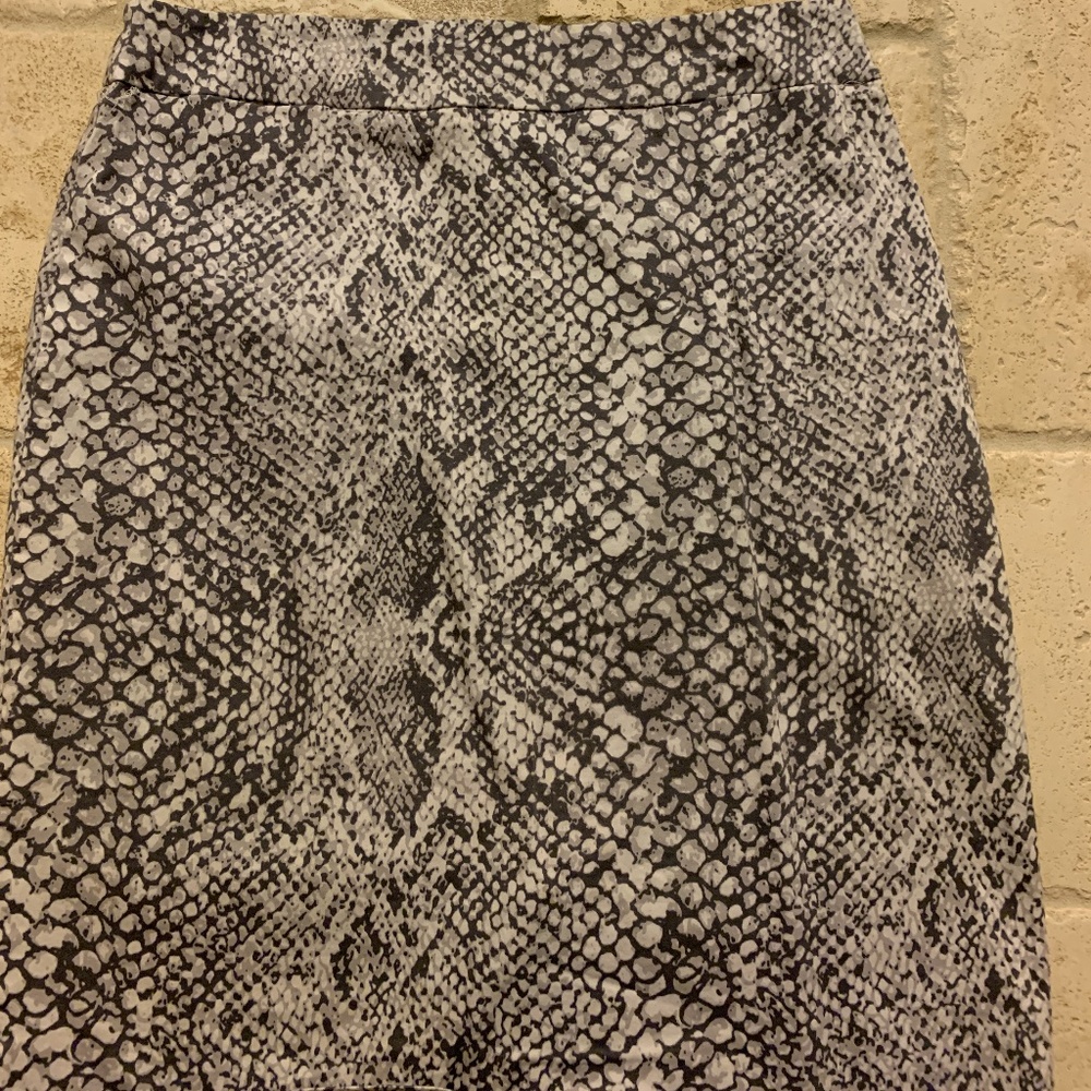 Pencil Skirt